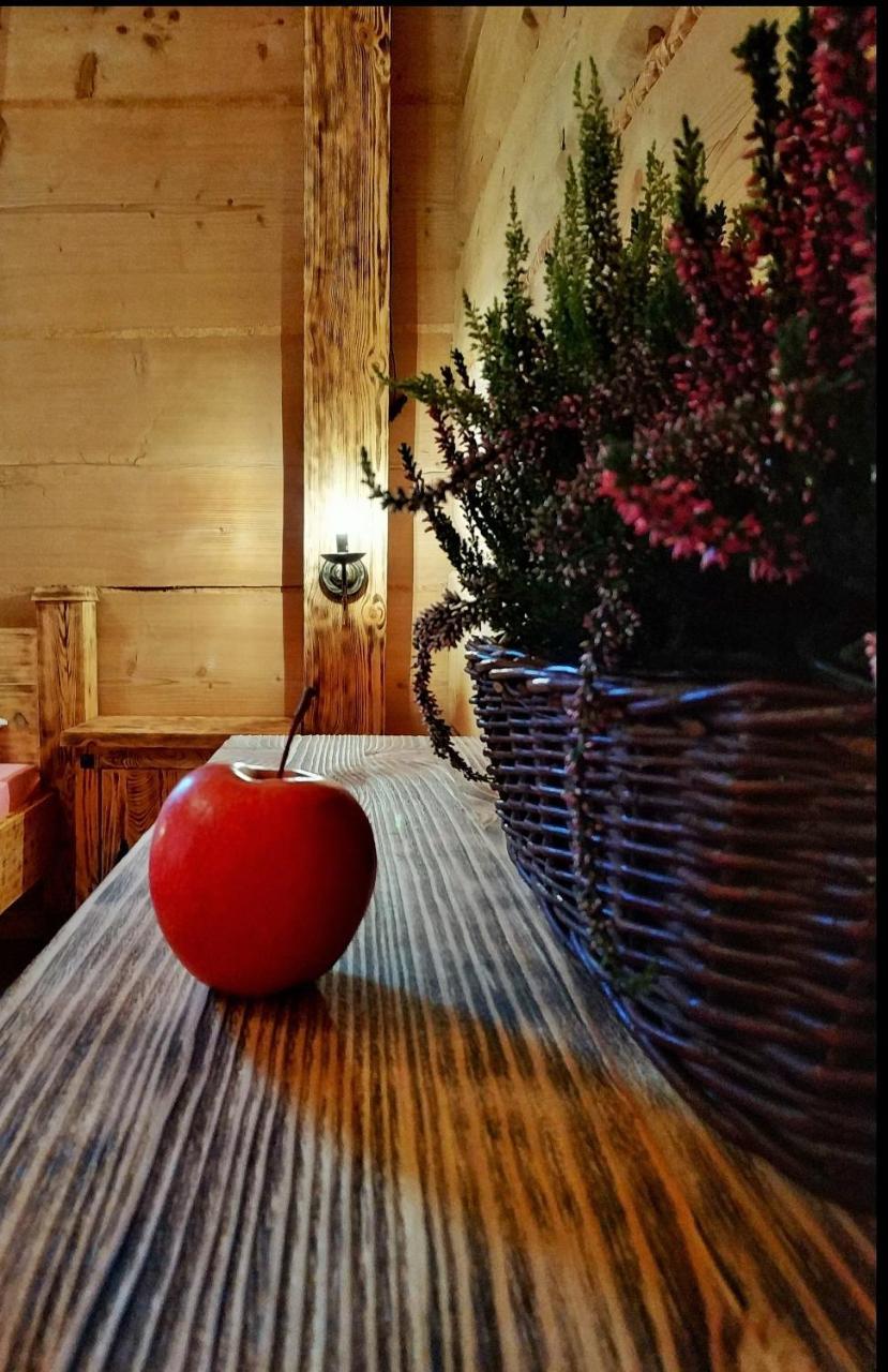 Bukowianska Ostoja - Sauna, Jacuzzi I Balia W Ofercie Буковина Татжанска Екстериор снимка